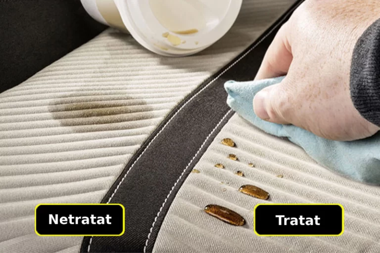 tapițeria mașinii curată mereu